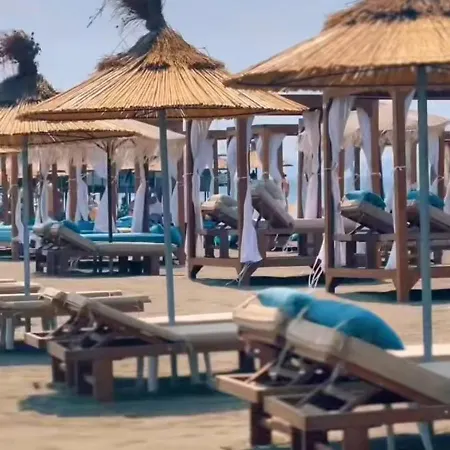 Ilirian فيلة Lac